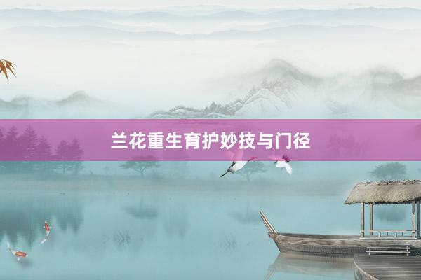 兰花重生育护妙技与门径