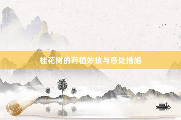 桂花树的莳植妙技与惩处措施