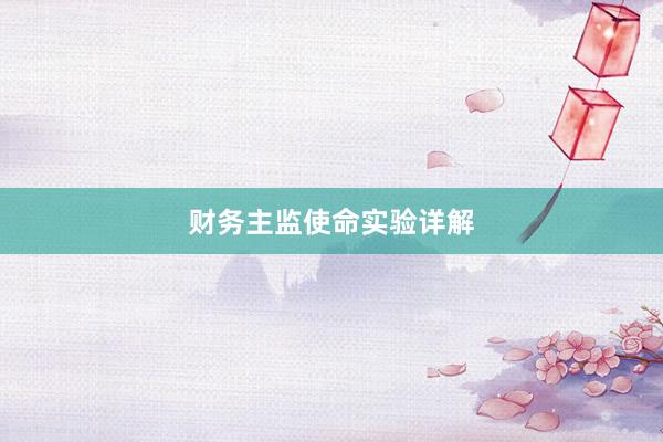 财务主监使命实验详解